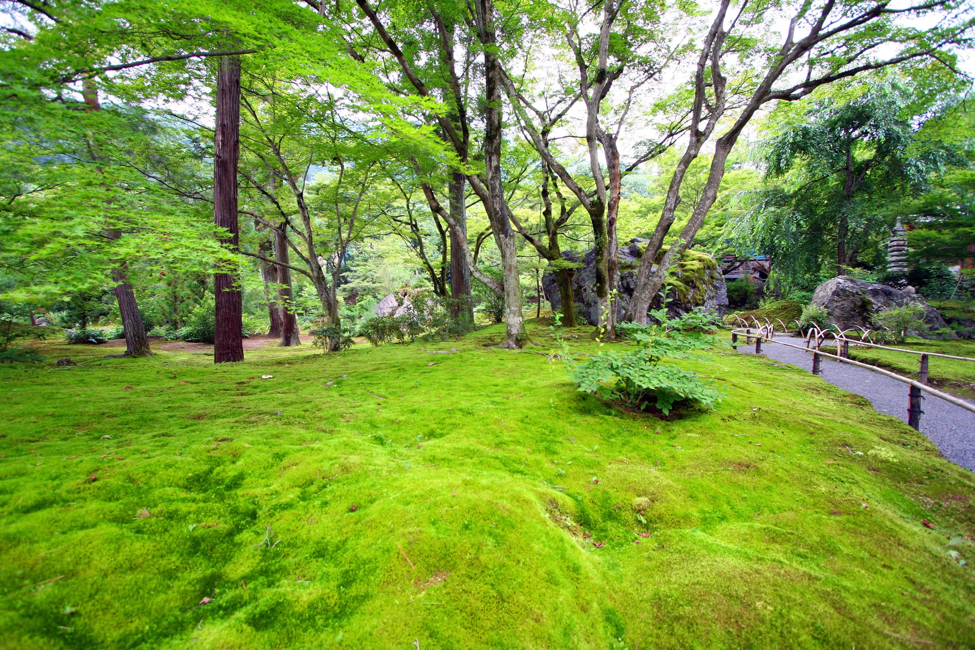 世界遺産 天龍寺 宝厳院<