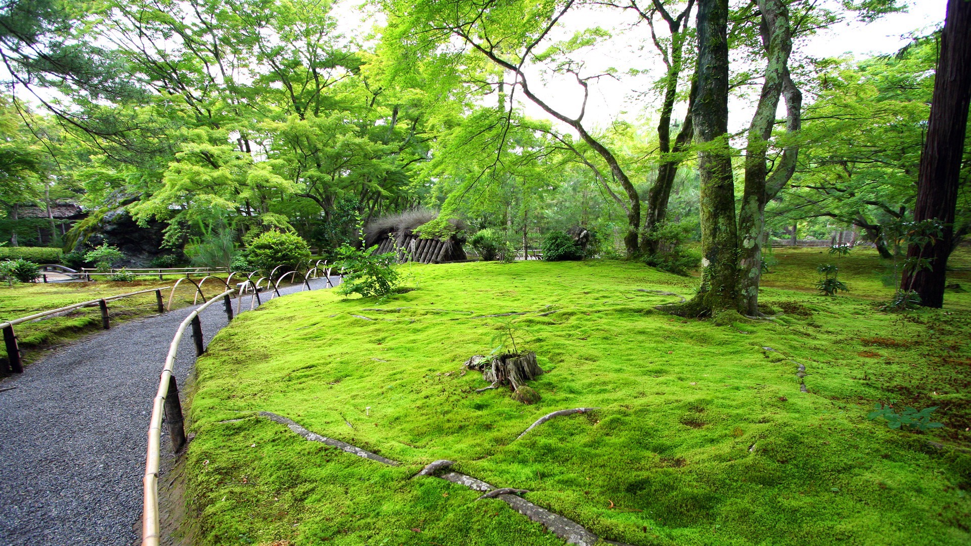 宝厳院 獅子吼の庭
